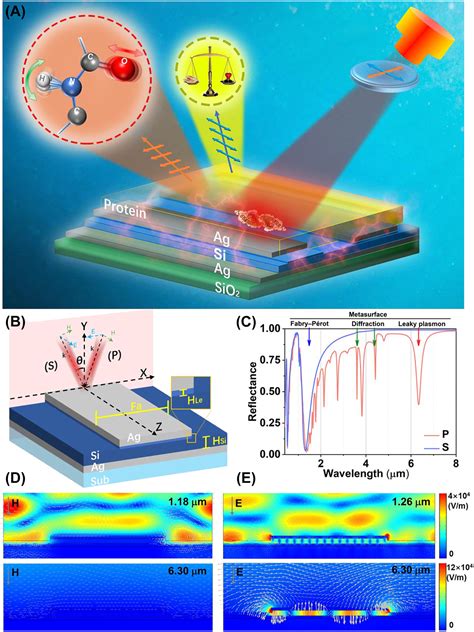 Wavelength Multiplexing Infrared Metasurfaces For Protein Recognition