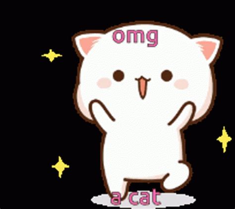 Omg Cat Gif