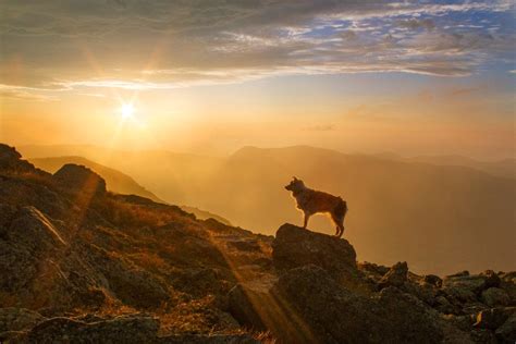 Mount Washington Sunrise | Beyond the Fence