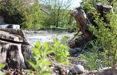 Gartenträume Heule Gartenbau