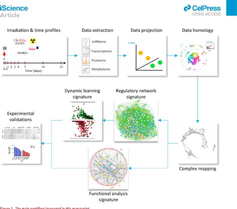 Figure From Deep Models Of Integrated Multiscale Molecular Data