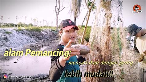 Serunya Mencari Ikan Keahlian Mencari Ikan Dengan Jaring Youtube