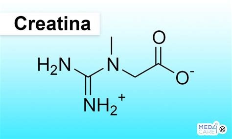 Creatina - Med4Care