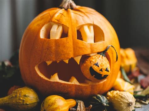 6 Ways To Naturally Preserve A Carved Pumpkin