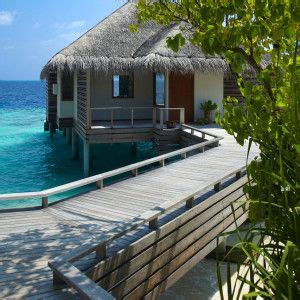 The Ultimate Thai Paradise Dusit Thani Maldives Maldives Hotel