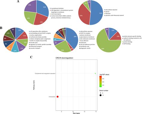 Bioinformatics Analysis Of Differentially Expressed Proteins Identified