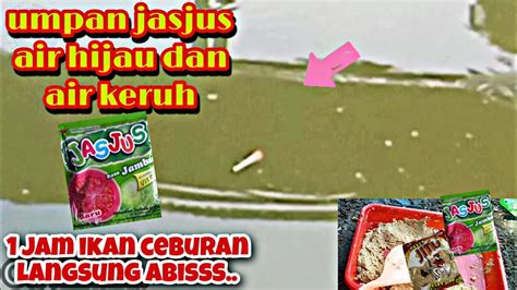 Umpan Jasjus Gak Nyangka Segacorr Ini Di Air Hijau Dan Air Keruh