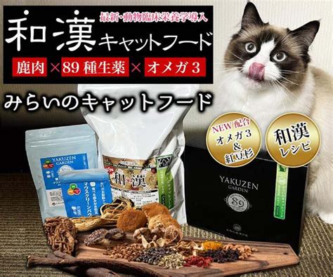 サバトラ猫ってどんな猫？性格や呼び名の由来、うまくつきあうためのアドバイス ねこちゃんホンポ