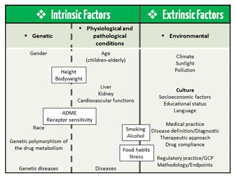 Factors Which Affect Health Daneelyunus