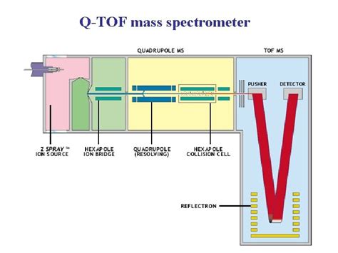 Mass Analyzer Magnetic Sector Ion Trap Analyser Ions