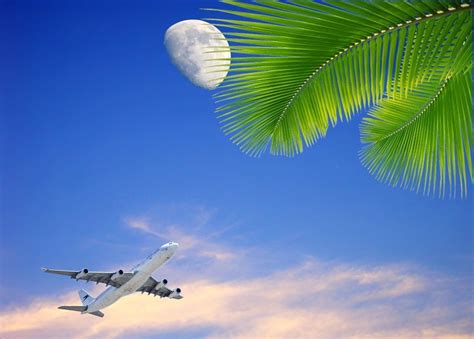 Free illustration: Sky, Blue Sky, Clouds, Plane - Free Image on Pixabay ...