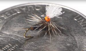 Video How To Tie A Size 24 Parachute Midge Orvis News