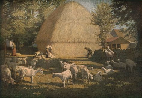 Sheep Shearing 1901 C1930 Creator Dermod Obrien Photo12