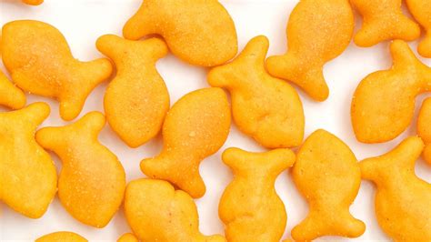 Free Goldfish Crackers Clipart Download Free Goldfish Crackers Clipart