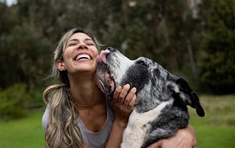 110+ Great Dane Names Fit for Your Gentle Giant | LoveToKnow Pets