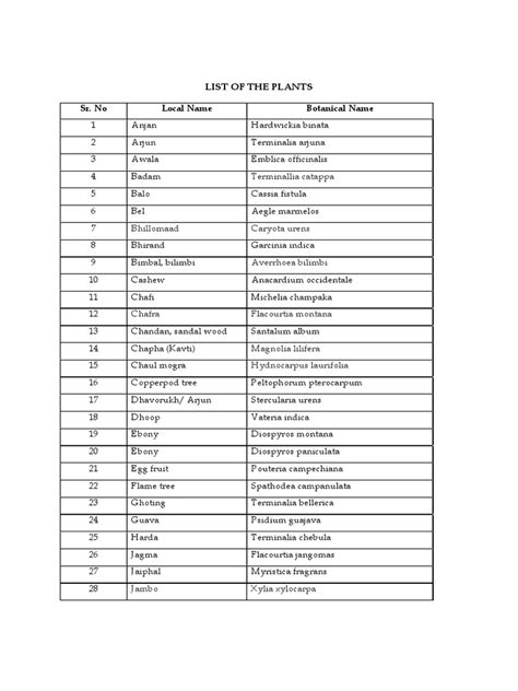 list   plants terminallia catappa  trees botany