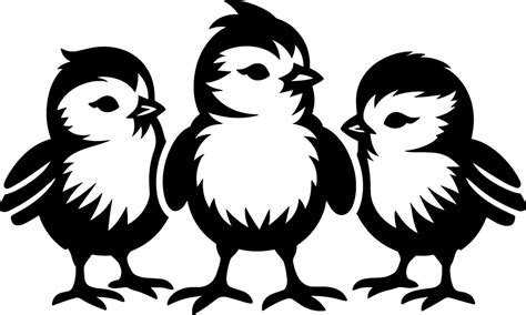 Three Baby Chicks 55428888 Vector Art At Vecteezy