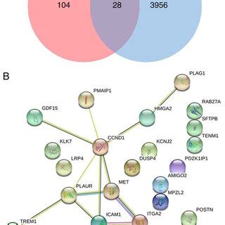 Identification Of Mir A P Related Target Genes A Venn Diagram