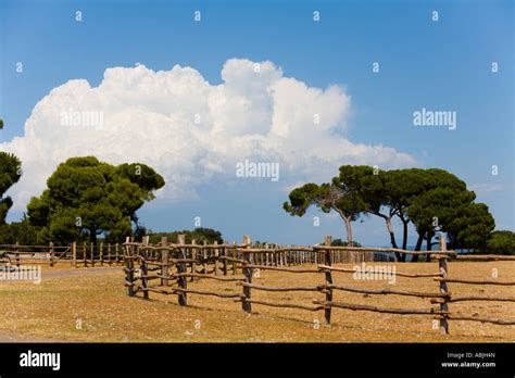 Safari Site On Brioni Islands Veliki Brijun Croatia Stock Photo Alamy