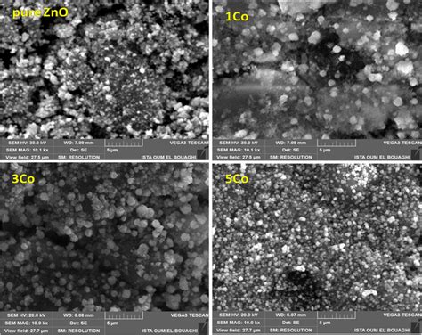 SEM Images Of Undoped ZnO And ZnO Co 1 3 And 5 Thin Films