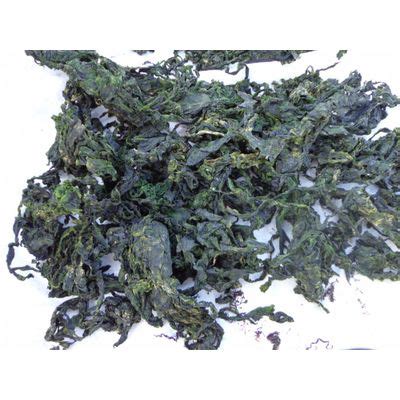 Seaweed Ulva Lactuca Green Sea Lettuce From Peru Jesus De Nazareth