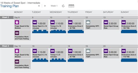Sweet Spot Versus Zone 2 Training Plan Design Fascat Coaching