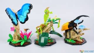 Lego The Insect Collection Part Review Brickset