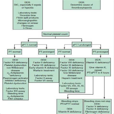 Differential Diagnosis Of Bleeding Disorders 4 Download Scientific