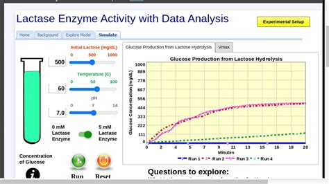 Lactase Enzyme Activity With Data Analysis