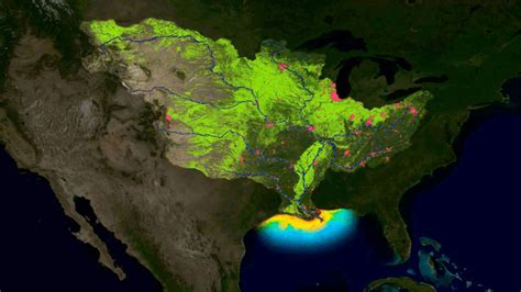 C Dead Zones And Harmful Algal Blooms Habs