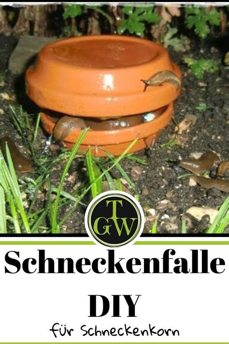 Schneckenfalle Selber Bauen Garten F R Schneckenkorn