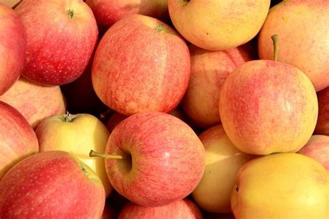 Nachhaltige Ernährung Saisonales Obst Und Gemüse Future Green