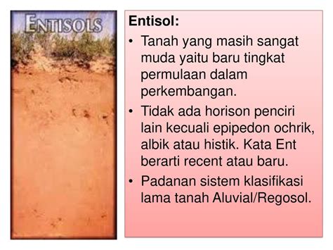 Survey Tanah And Klasifikasi Tanah Ppt Download