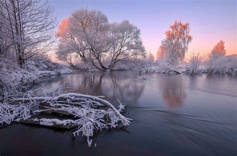 Зимняя красота · бесплатная фотография от 23988752 - картинки на Fonwall