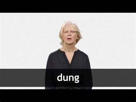 dung definition  meaning collins english dictionary