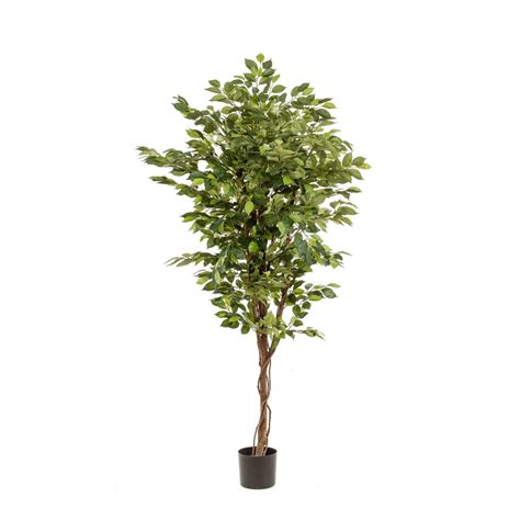 Ficus Schilliger Sélection Ficus deluxe artificiel 170cm Schilliger