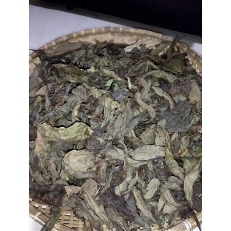 Jual Jual Daun Sambung Nyawa Kering 100gram Shopee Indonesia