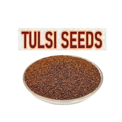 Tulsi Ke Beej Organic Basil Powder Natural Basil Powder Basil Powder