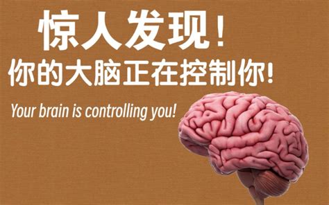 【干货】警惕！你的大脑可能正在控制你 尼古丁真dd 默认收藏夹 哔哩哔哩视频