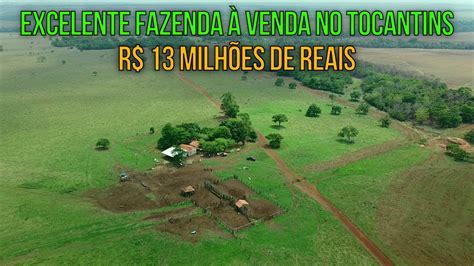 FAZENDA A VENDA NO TOCANTINS EM MIRANORTE TO 120KM DE PALMAS YouTube