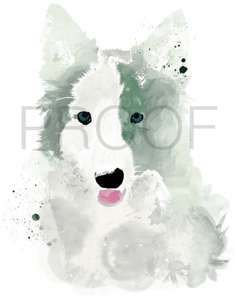 Border Collie Watercolor at PaintingValley.com | Explore collection of Border Collie Watercolor