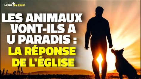 Les Animaux Vont Ils Au Paradis La Position Inattendue De L Glise