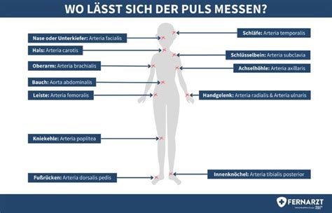 Der Puls Kann Man An Verschiedenen Stellen Des K Rpers Messen Der Puls