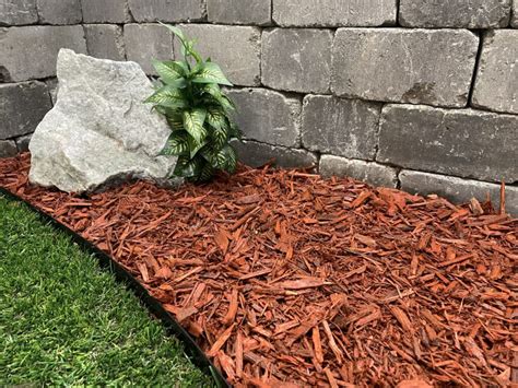 Types Of Mulch For Landscaping Which One Is Right For You Mazatlan