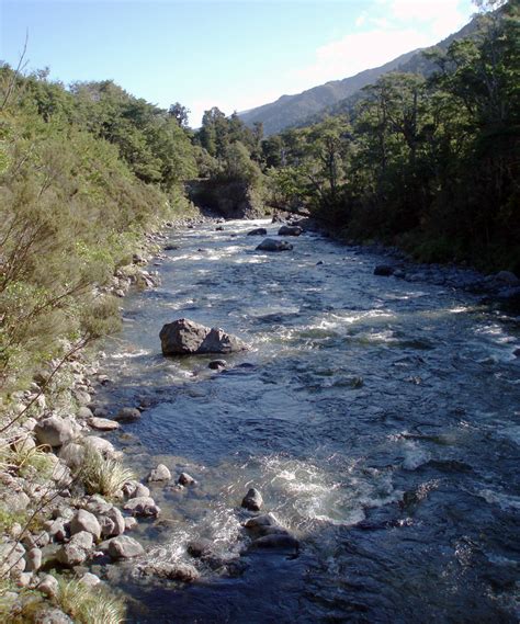 Flora and Fauna Trip – Wellington Tramping and Mountaineering Club