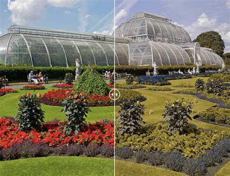 Positive Health Online | Article - Pictures Show How Colour Blind ...