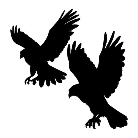 Premium Vector | Hawk flying silhouette on white