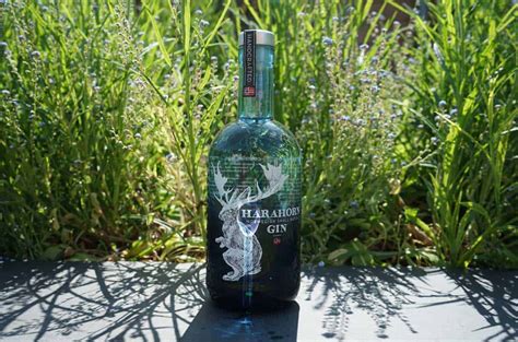 Testbericht Harahorn Gin Ginnatic Deutschlands Gr Ter Gin Blog