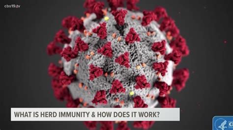 What Is Herd Immunity And How Does It Work Cbs19 Tv