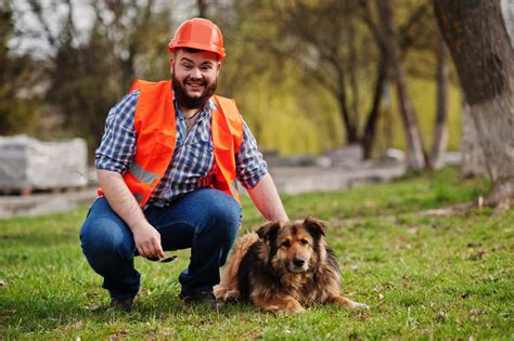 Animaux Emmener Son Chien Au Travail Est Ce Possible